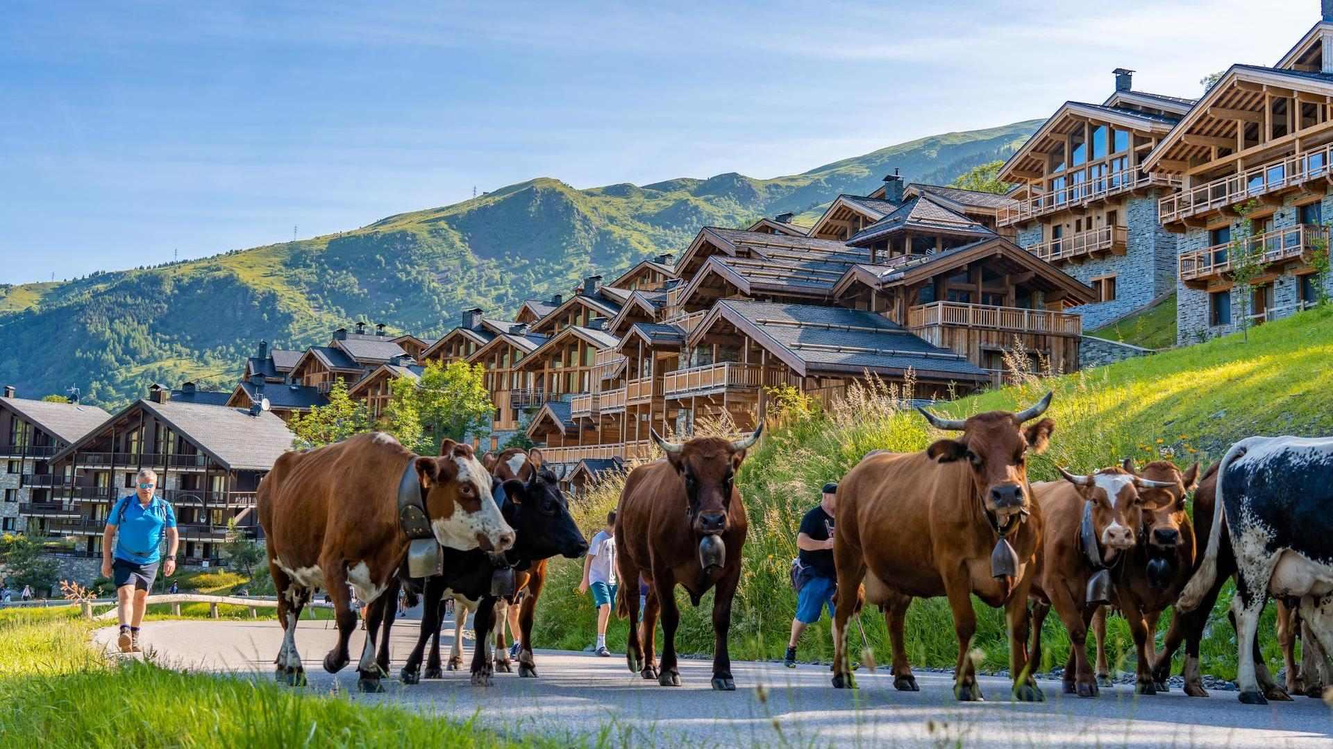 Les fêtes de villages et événements forts de l'été 2024