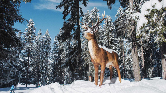 La piste des animaux à Méribel dans Les 3 Vallées