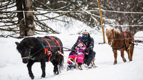 Le Ranch Nordique à Méribel, au cœur des 3 Vallées. Ski-Joëring pour enfant en luge.